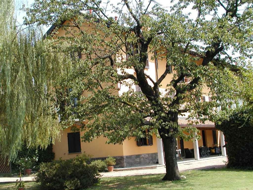 Ca' Dal Matt 호텔 Borgo Ticino 외부 사진
